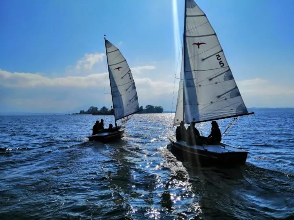 Segelboote auf See bei Sonnenschein: zwei weiße Segel mit Vogel-Logo, glitzerndes Wasser und Segler-Silhouetten