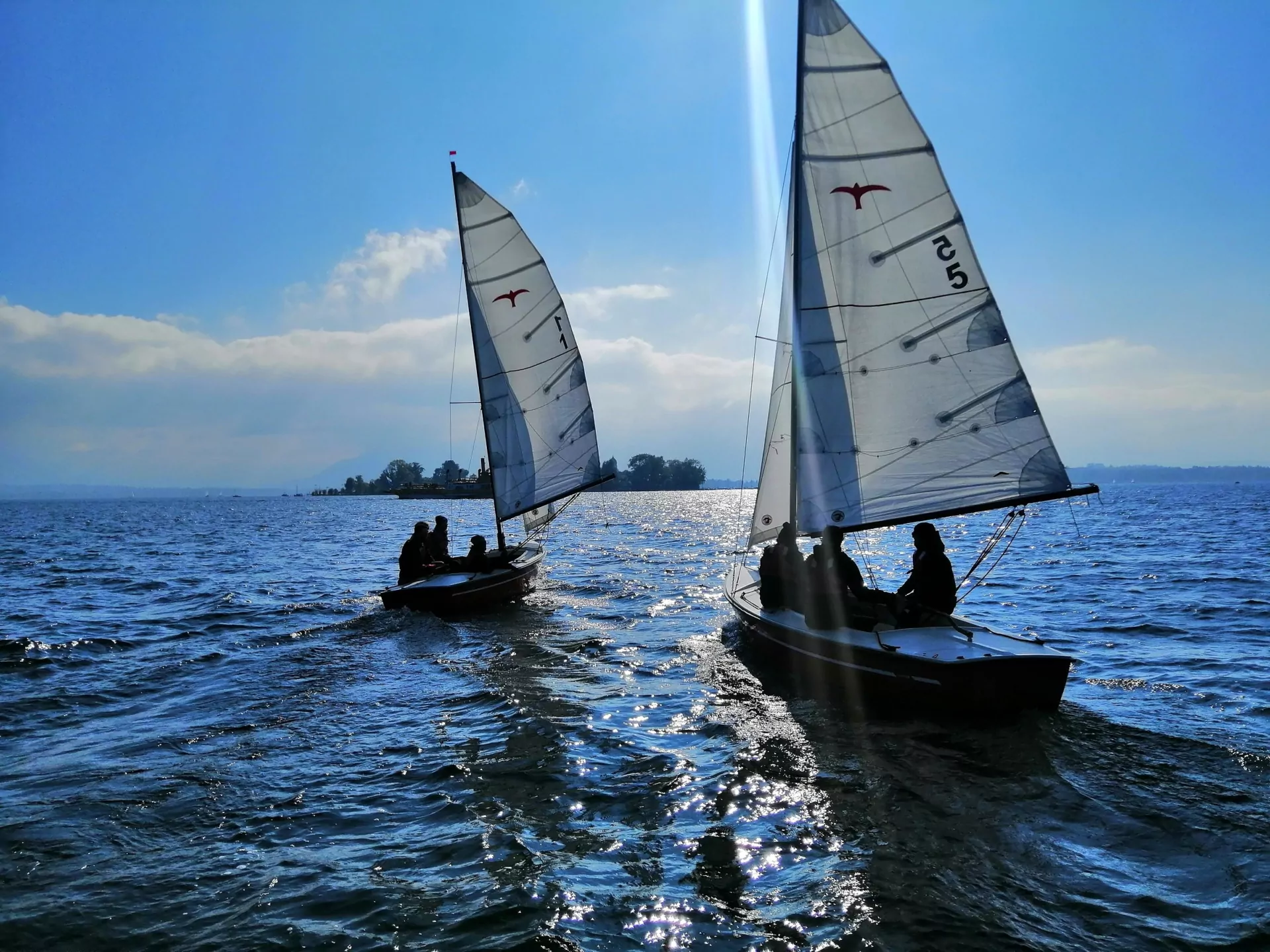 Segelboote auf See bei Sonnenschein: zwei weiße Segel mit Vogel-Logo, glitzerndes Wasser und Segler-Silhouetten