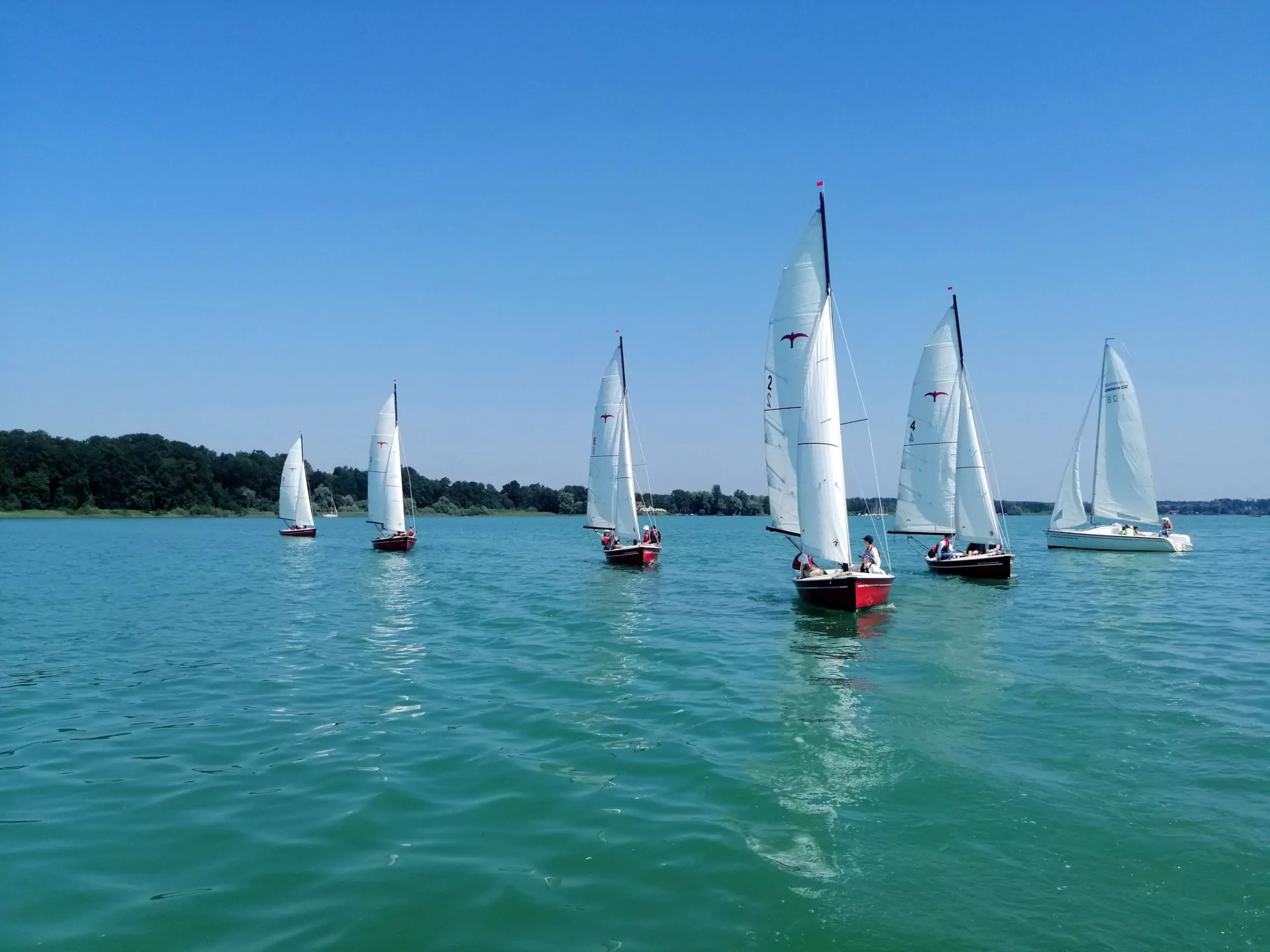 Segelboote auf türkisblauem See unter klarem Himmel – Sommersegeln, Regatta und Freizeit auf dem Wasser